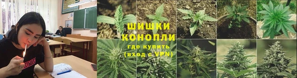 дживик Армянск